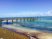 Beach on Islamorada Key