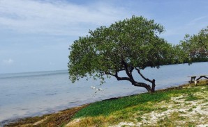 State Park Beach in the Keys